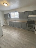 1131 S 13th St in Springfield, IL - Building Photo