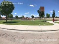 11805 Mesquite Bush Dr - 22