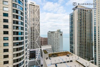445 E Ohio St in Chicago, IL - Building Photo - Building Photo