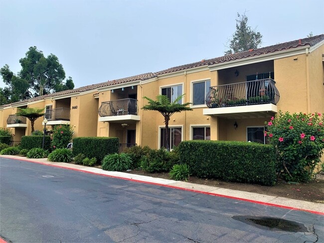 property at 8440 Via Mallorca