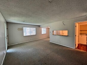 1250 S Monaco Pkwy in Denver, CO - Building Photo - Building Photo