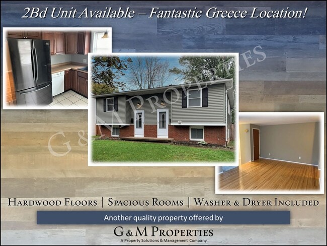 property at 45-47-47 Williams Rd