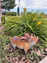 1110 Sutton Dr in North Salt Lake, UT - Building Photo