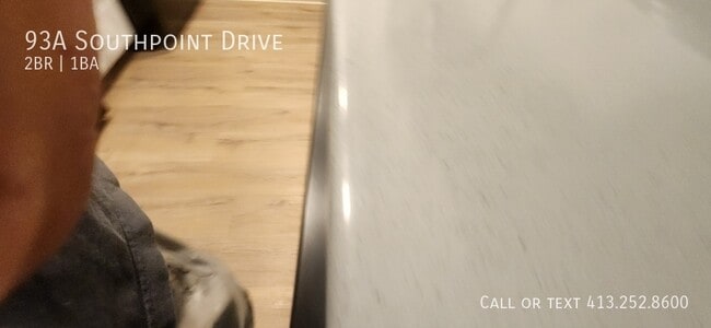 93 Southpoint Dr in Amherst, MA - Building Photo - Building Photo