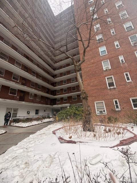 98-20 62nd Dr in Queens, NY - Foto de edificio - Building Photo