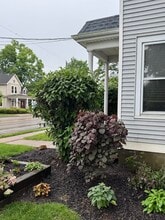 439 W Loveland Ave, Unit Apartment #2 in Loveland, OH - Foto de edificio - Building Photo