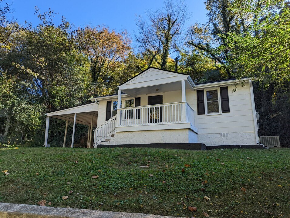 110 Goodson Ave in Chattanooga, TN - Building Photo