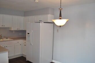 4309 W Park Ln Dr in Alsip, IL - Building Photo - Building Photo