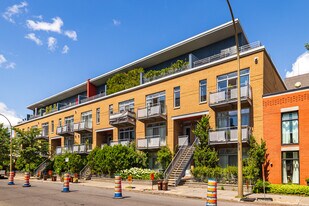 2185-2229 De Maisonneuve Boul E in Montréal, QC - Building Photo