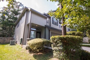 15 Aquiline Oaks Pl in Spring, TX - Building Photo