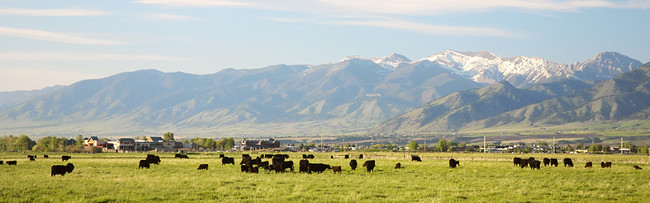 Casas Alquiler en Bozeman, MT