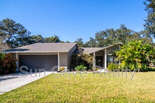 915 Woodleaf Way in Tampa, FL - Building Photo