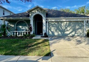 10121 Coldwater Loop in Land O Lakes, FL - Building Photo