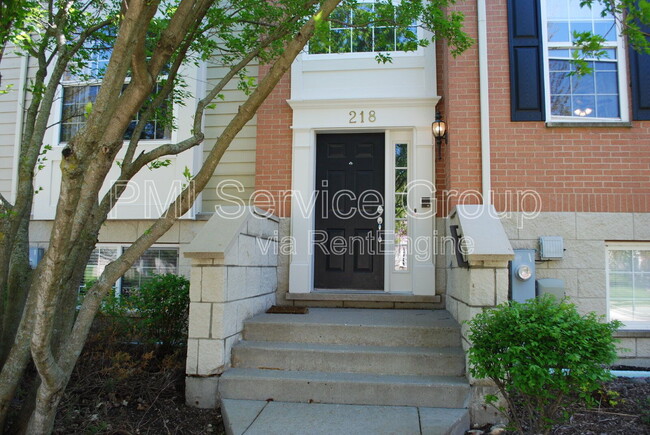 218 Cassidy Ln in Elgin, IL - Building Photo - Building Photo