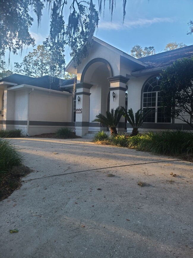 property at 11135 Palmetto Blvd