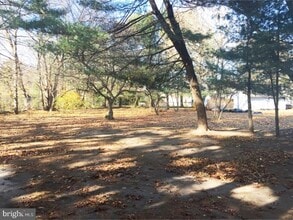 213 Laurel Ave in Glassboro, NJ - Building Photo - Building Photo