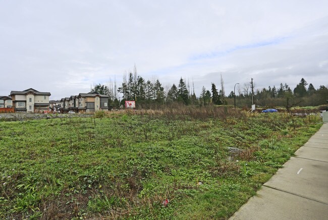 11225 240 St in Maple Ridge, BC - Building Photo - Building Photo