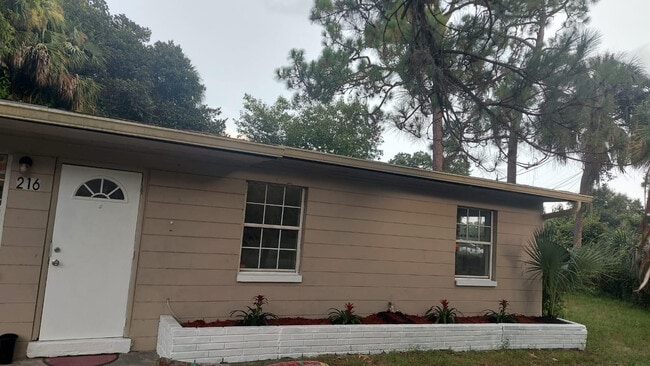 property at 216 Maria St