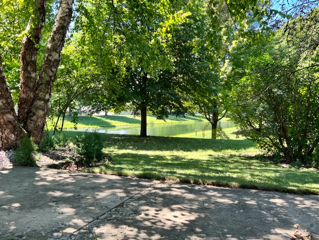 113 Tahoe Dr in Bolingbrook, IL - Building Photo - Building Photo