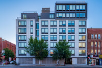 The Bergen in Brooklyn, NY - Foto de edificio - Building Photo