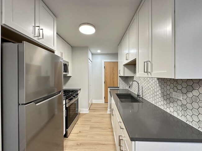 535 W Aldine Ave in Chicago, IL - Foto de edificio - Building Photo