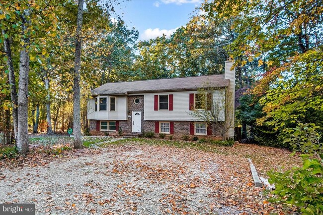 12502 Saddle Ct in Spotsylvania, VA - Building Photo - Building Photo