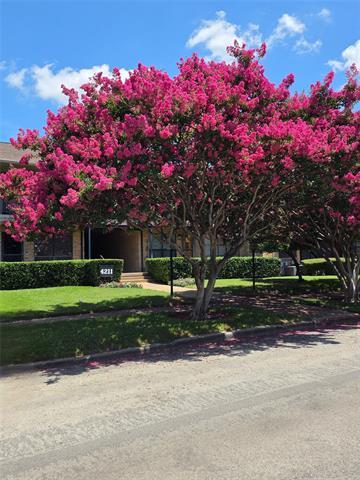 4211 Newton Ave in Dallas, TX - Foto de edificio