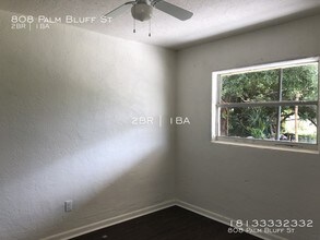 808 Palm Bluff St in Clearwater, FL - Building Photo - Building Photo
