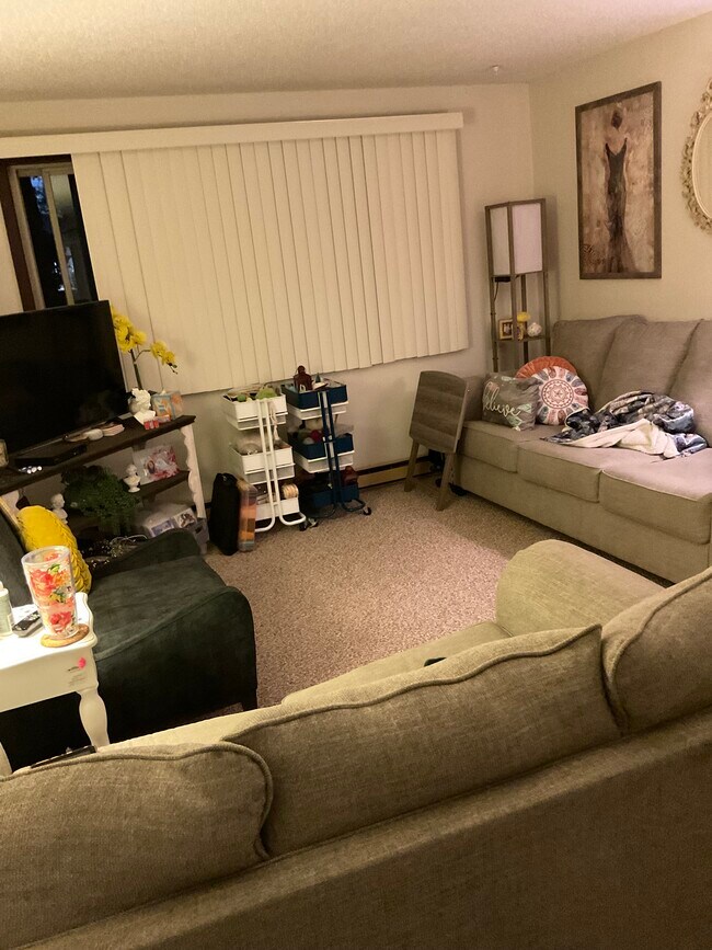 1007 SE 13th St, Unit Susan in Brainerd, MN - Building Photo - Building Photo