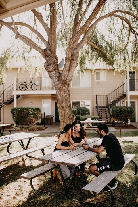The Willows in Davis, CA - Foto de edificio