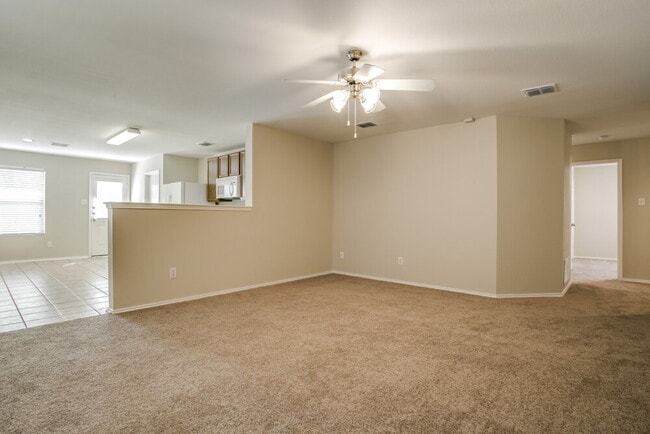 1017 Maidenhair Ln in Crowley, TX - Foto de edificio - Building Photo