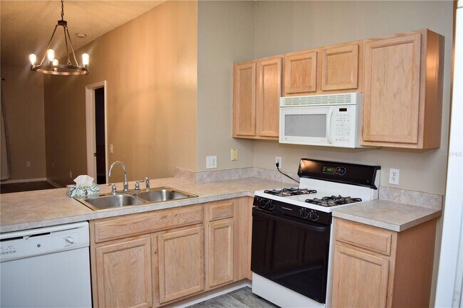 10519 Peppergrass Ct in Trinity, FL - Building Photo - Building Photo