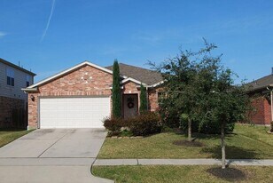 4717 Woodspring Glen Ln in Houston, TX - Building Photo