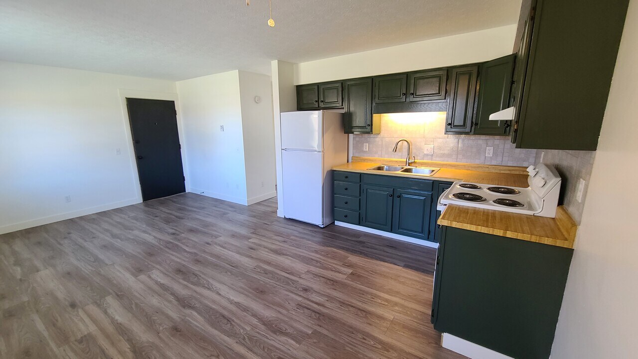 100 Crestwood Dr in Willard, OH - Building Photo