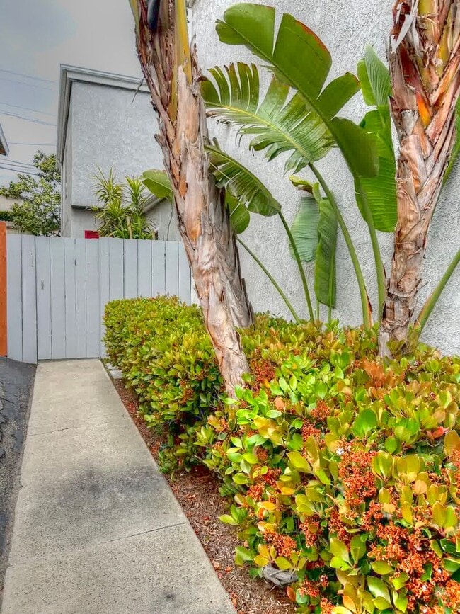 33936 Alcazar Dr in Dana Point, CA - Building Photo - Building Photo