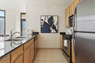 335 N Desplaines St in Chicago, IL - Building Photo - Building Photo