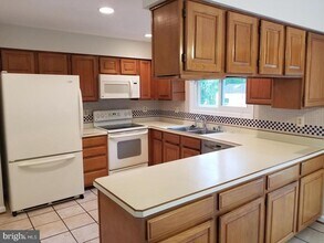 3853 Appaloosa Dr in Woodbridge, VA - Building Photo - Building Photo