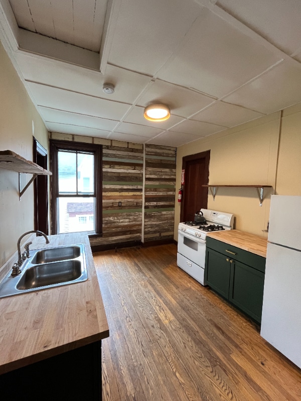 319 S Albany St in Ithaca, NY - Building Photo - Building Photo