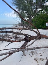 1 Bluebill Ave, Unit 604 in Naples, FL - Foto de edificio - Building Photo