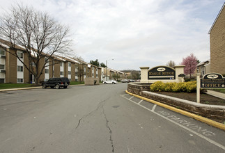 Eagle Ridge Apartments in Edwardsville, PA - Building Photo - Building Photo