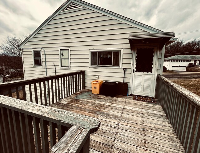 98 Richard St in Johnson City, NY - Building Photo - Building Photo