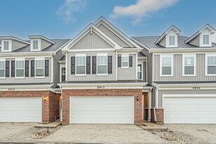 5913 Hawkweed Dr in Naperville, IL - Building Photo