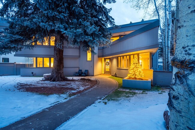506 W Hallam St in Aspen, CO - Building Photo - Building Photo
