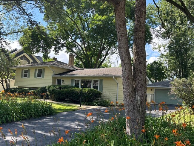 541 Cypress Dr in Naperville, IL - Building Photo - Building Photo