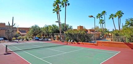 6651 N Campbell Ave in Tucson, AZ - Building Photo - Building Photo