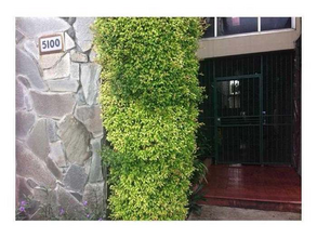5100 W Flagler St in Coral Gables, FL - Building Photo - Building Photo