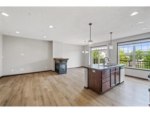 11917 Emery Village Dr N in Champlin, MN - Building Photo - Building Photo