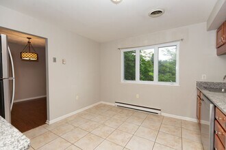1517 Caroline St in Winchester, VA - Building Photo - Building Photo