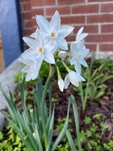 2345 Fulton St in Berkeley, CA - Building Photo - Building Photo