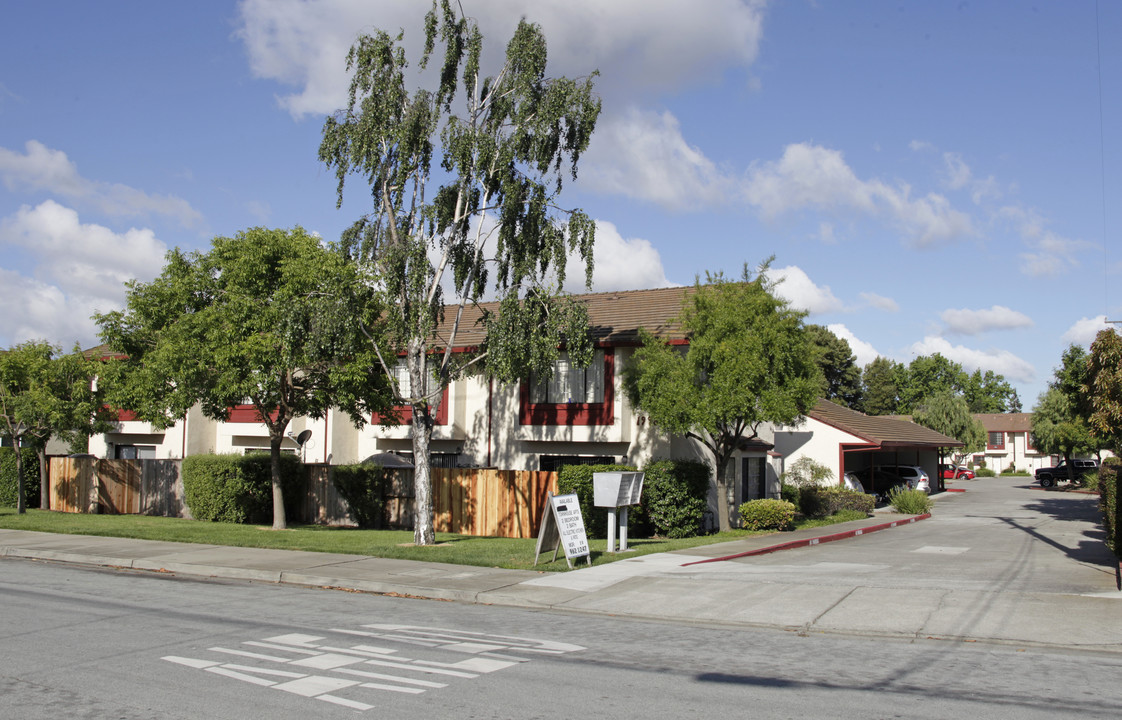 19983 Forest Ave in Castro Valley, CA - Building Photo